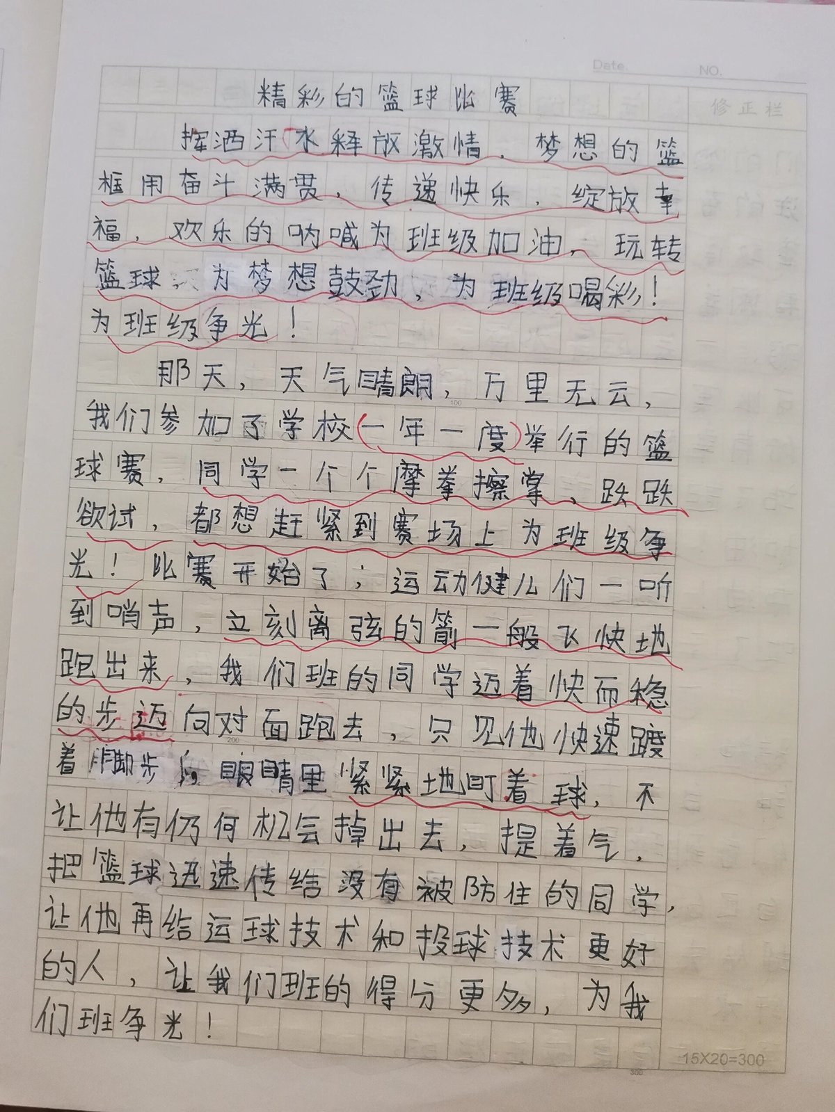 篮球训练收获及感想作文素材摘抄